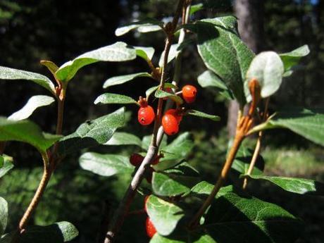 canada-04-banff-national-park-17