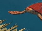 tortuga roja', coproducción Studio Ghibli, preseleccionada para Oscar