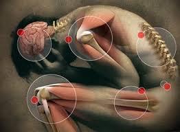 Árnica, antiinflamatorio y consejos para reducir el cansancio muscular