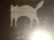 Charles Bukowski: Gatos (2):