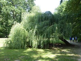 Día 11: Varazdin - Varazdinske Toplice - Zagreb (1)