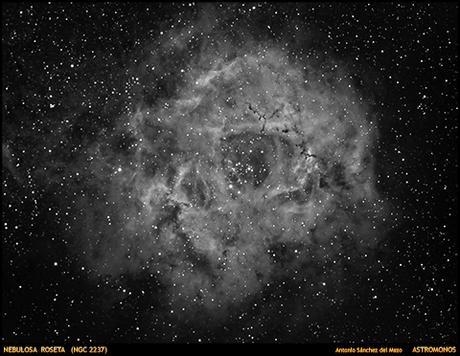NEBULOSA ROSETA (NGC 2237)