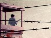 Análisis Dead Synchronicity