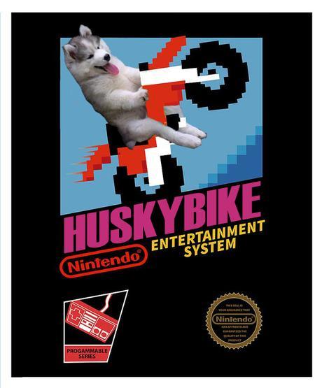 husky-bike