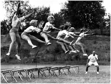 Husky atorado inspira divertida batalla en photoshop husky-salto