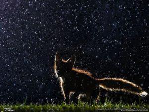 bailando-bajo-la-lluvia