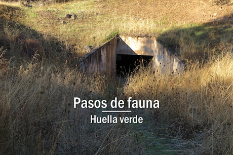 Pasos de fauna