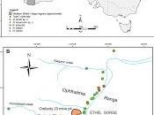 Nuevos copépodos Australia