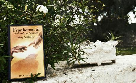 5 LIBROS ILUSTRADOS PLAGADOS DE MAGIA 5 LIBROS ILUSTRADOS PLAGADOS DE MAGIA