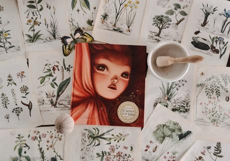 5 LIBROS ILUSTRADOS PLAGADOS DE MAGIA