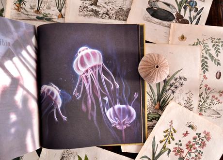 5 LIBROS ILUSTRADOS PLAGADOS DE MAGIA