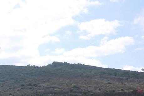 Un paseo por la montaña