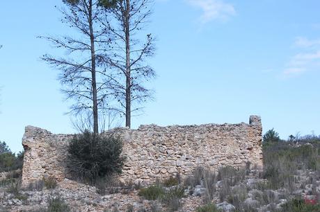 Un paseo por la montaña