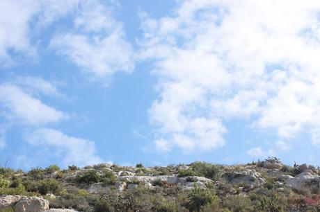 Un paseo por la montaña