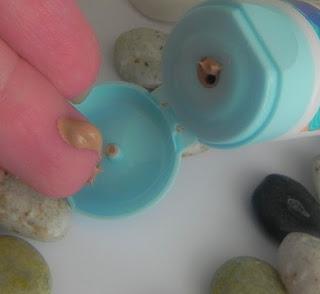 BB Cream de Bonté...¿Las 3 Bs? (review)