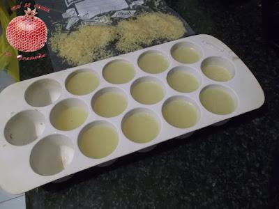 Como congelar cítricos