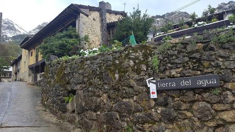 EL ARTE DEL BUEN COMER gOtta, el nuevo restaurante de Tierra del Agua