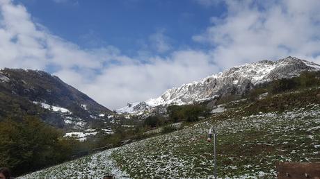 EL ARTE DEL BUEN COMER gOtta, el nuevo restaurante de Tierra del Agua