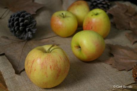 manzana, apple, fall
