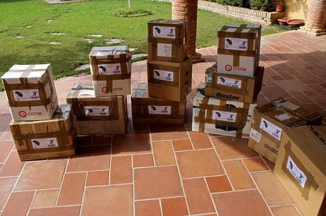 guajeras-biblioteca-de-montequinto_o_15112016