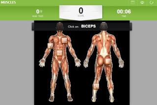 Skeleton and muscles games