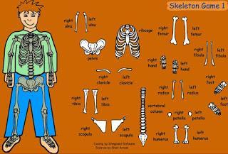Skeleton and muscles games