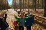 El Otoño en El Paseo