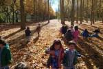 El Otoño en El Paseo