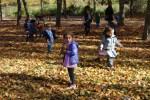 El Otoño en El Paseo