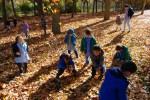 El Otoño en El Paseo