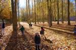 El Otoño en El Paseo