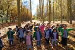 El Otoño en El Paseo