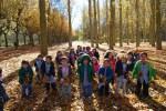 El Otoño en El Paseo