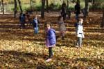 El Otoño en El Paseo