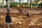 El Otoño en El Paseo