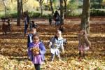 El Otoño en El Paseo