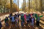 El Otoño en El Paseo