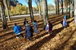 El Otoño en El Paseo