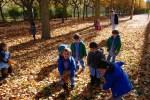 El Otoño en El Paseo