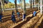 El Otoño en El Paseo