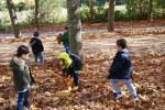 El Otoño en El Paseo