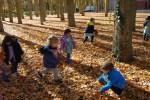 El Otoño en El Paseo