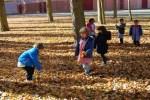 El Otoño en El Paseo