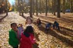 El Otoño en El Paseo