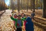 El Otoño en El Paseo