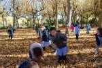 El Otoño en El Paseo