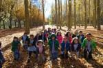 El Otoño en El Paseo