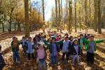 El Otoño en El Paseo