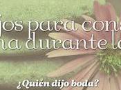 Consejos para Conservar Calma Durante Boda