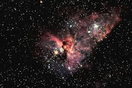 Solo la belleza es infinita